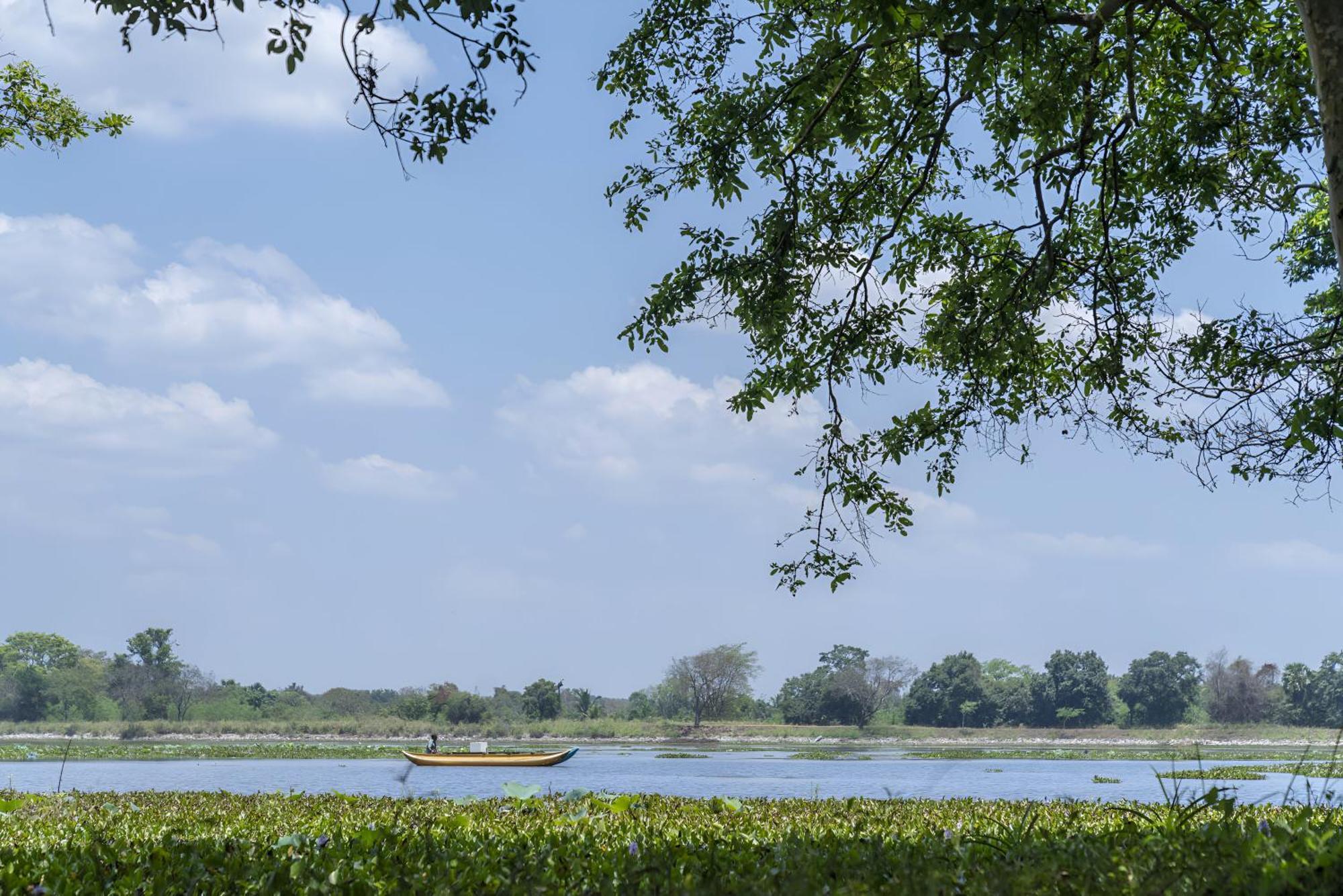 Superior King with Partial Lake View - Discounts (15% on F&B, 10% on Spa, 10% on Jeep Safari)